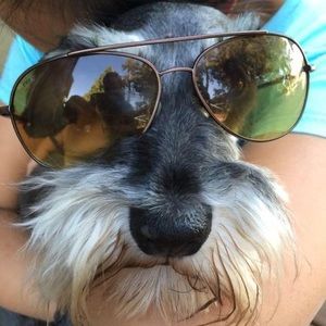 Meet your Posher, Peter